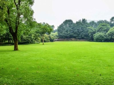 Parkland Grass Seed Mixture