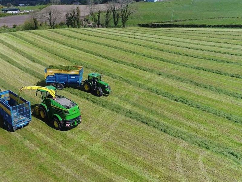 Intensive Silage no.7 PLUS