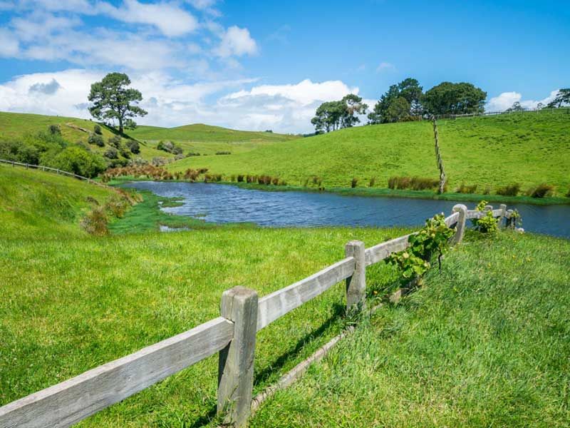 Riparian Margins – Acres Scheme